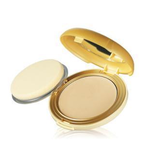 Find perfect skin tone shades online matching to 21 Skin Beige, Royal Jelly Essence Compact Foundation by Skin Food.