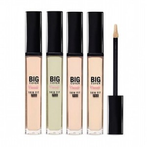 Find perfect skin tone shades online matching to N05 Sand, Big Cover Skin Fit Concealer Pro by Etude House.