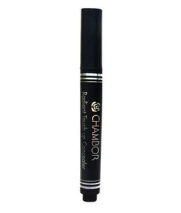 Find perfect skin tone shades online matching to Ginger 03, Radiant Touch Up Concealer by Chambor.