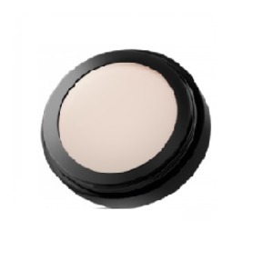 Find perfect skin tone shades online matching to 5W Warm Natural, Long Cover Camouflage PAESE Artist by Paese Cosmetics.