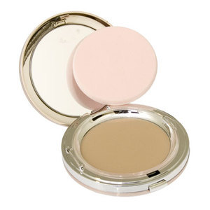 Find perfect skin tone shades online matching to 21 Vienna, 4 in 1 Skin Clone Foundation Mineral Face Powder by Mirenesse.