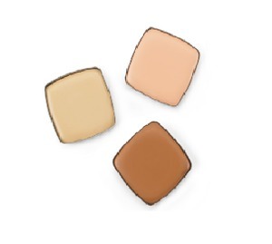 Find perfect skin tone shades online matching to 1 Fair, Complete Concealer by LimeLife by Alcone.