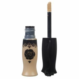 Find perfect skin tone shades online matching to 01 Light, Spot Concealer by Anna Sui.